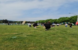 Geleneksel Türk Oyunları Branşı Görselleri Bursa Uluslararası Spor Festivali